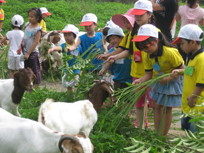 Sở thú cho bé ở Hà Nội đáng trải nghiệm 5